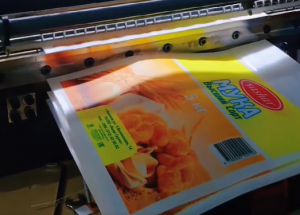 俄罗斯无纺布面粉袋生产现场视频展示