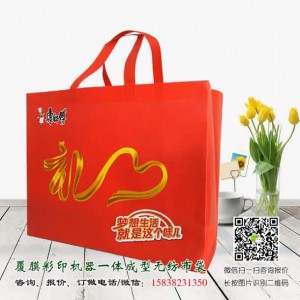 康师傅方便面促销无纺布手提袋